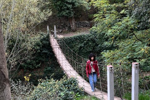 تبليسي: الشلالات والتلفريك وفرص التقاط الصور الخلابةتبليسي: شلالات وتلفريك وفرص لالتقاط صور خلابة