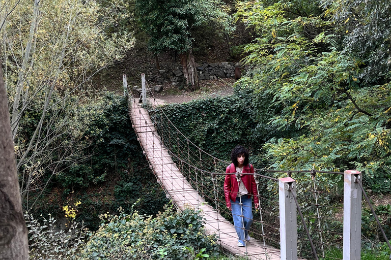 تبليسي: الشلالات والتلفريك وفرص التقاط الصور الخلابةتبليسي: شلالات وتلفريك وفرص لالتقاط صور خلابة