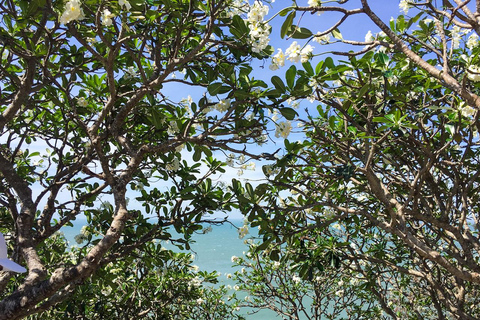 Ganztägige Stadt Vung Tau Beach von Ho Chi Minh Stadt ausPrivate Tour