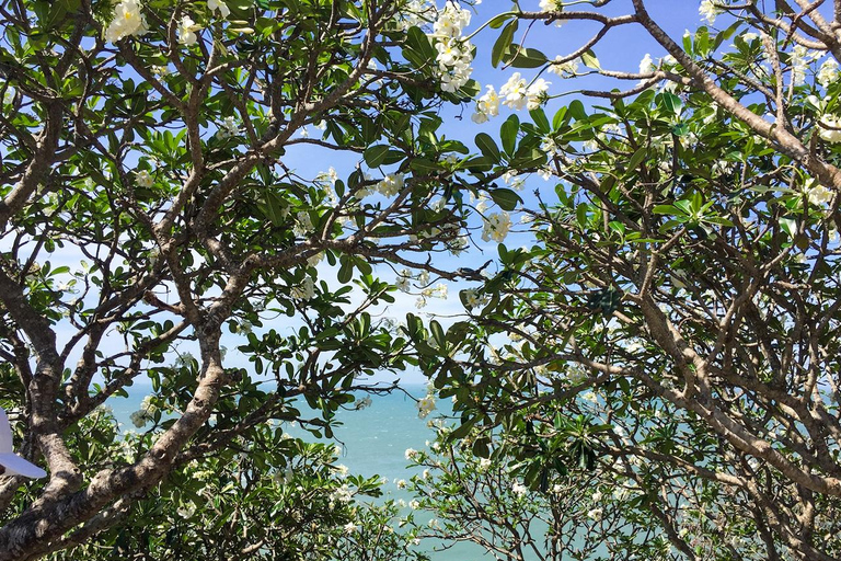 Dia inteiro na cidade de Vung Tau Beach saindo da cidade de Ho Chi Minhtour privado