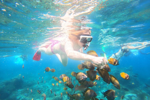 Vanaf Bali: Hele dag privé snorkeltour Nusa PenidaTrefpunt bij de haven van Sanur