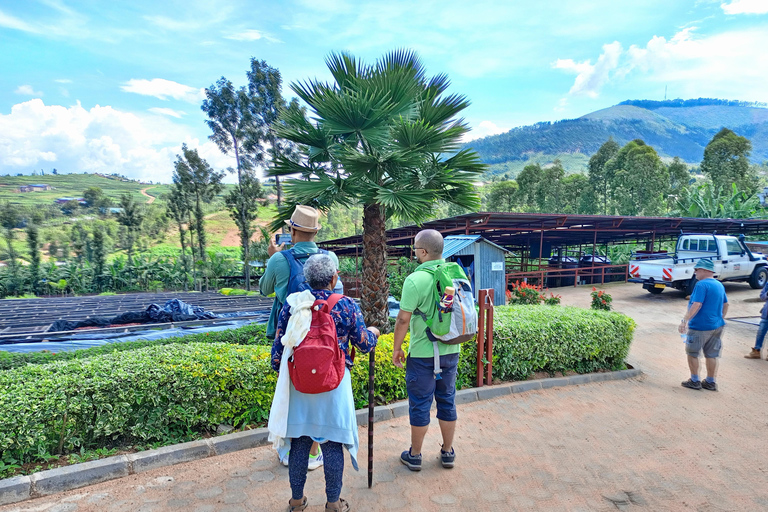 VISITA A UNA PLANTACIÓN DE CAFÉ