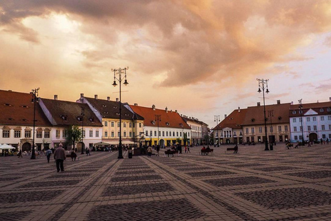 Brașov: Dumbrava Sibiului Museum & Sibiu Day Trip