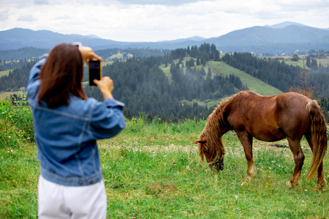 1 Day Horse Riding Adventure in Borjomi Mountains 1 day horse riding adventure in Borjomi National Park