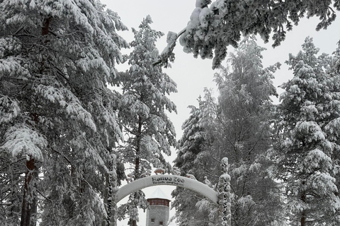 Rovaniemi: Ranua Zoo Guided Tour with Transfers