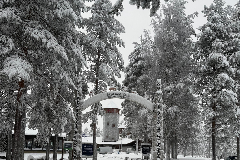 Rovaniemi: Ranua Zoo Guided Tour with Transfers