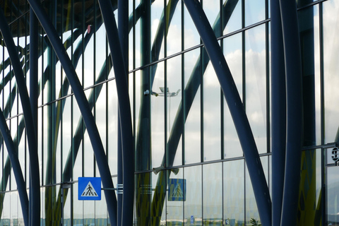 Brașov: Peles, Cantacuzino, & Bran Castles Private Tour