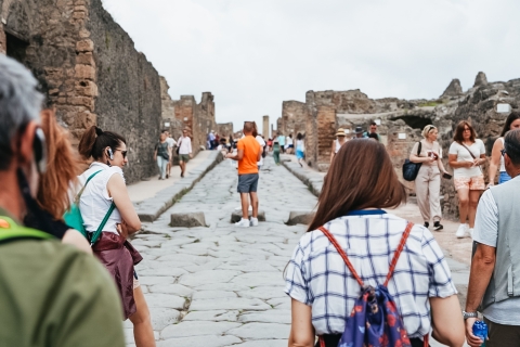 Vanuit Napels of Sorrento: halfdaagse excursie naar PompeïVanuit Napels: Tour in het Spaans met haven ophaalservice