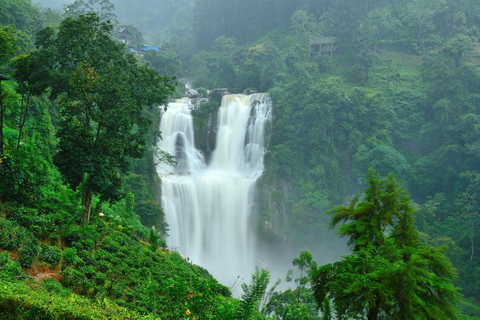 Kandy To Nanuoya Drop Tour & Morning Ella Train Journey Kandy To Nanuoya Drop Tour & Morning Ella Train Journey Car*