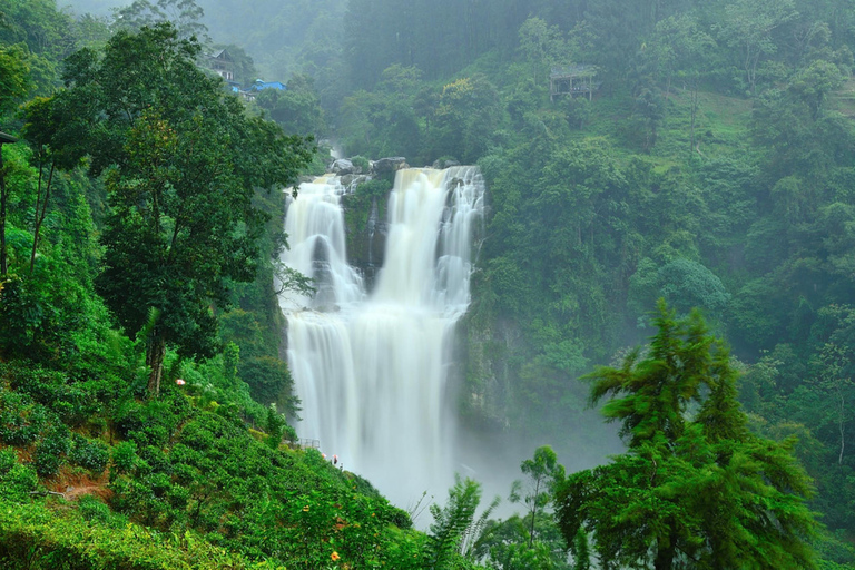Kandy To Nanuoya Drop Tour & Morning Ella Train Journey Kandy To Nanuoya Drop Tour & Morning Ella Train Journey Car*