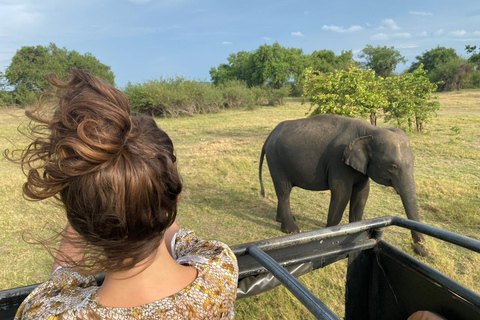 Colombo-Negombo : Excursión de un día a Sigiriya y la cueva de Dambulla