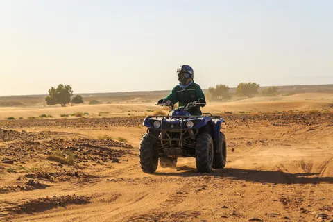 Marrakech : Camel Ride, Quad Bike In Palmeraie With Transfer