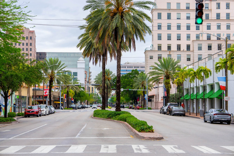 Miami: City Tour & Celebrity Homes Cruise