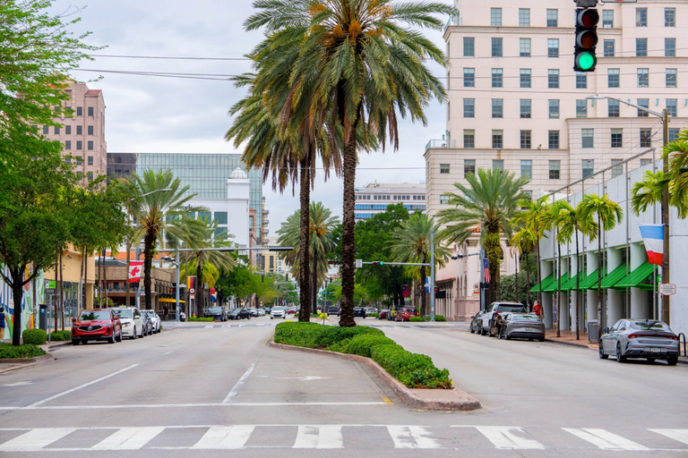Miami: City Tour & Celebrity Homes Cruise
