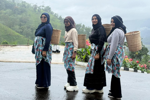 Kandy: Road-to-Rail Journey to Ella via Nuwara Eliya