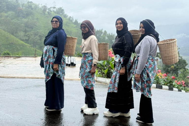 Kandy: Road-to-Rail Journey to Ella via Nuwara Eliya