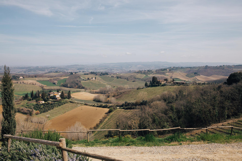 Florence: Pisa, San Gimignano, Siena & Chianti Private Tour Private Tuscany Tour