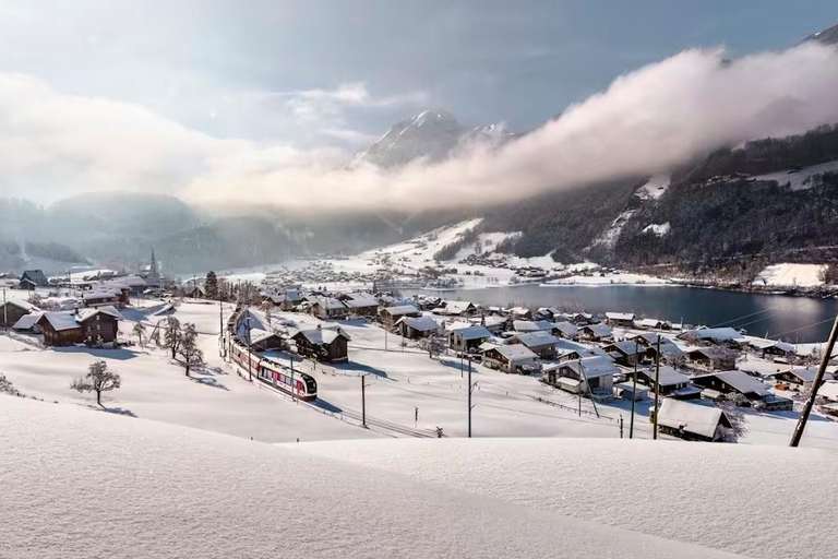 Zurich: Hardcore Swiss Train Tour–4 Scenic Railways in 1 day Excluding Train Tickets