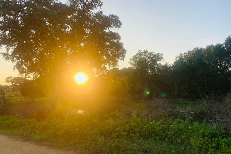 Meerdaagse rondreis in Sri LankaMeerdaagse tours en dagtours