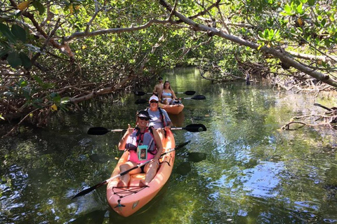 Full day kayak though the mangrove forest