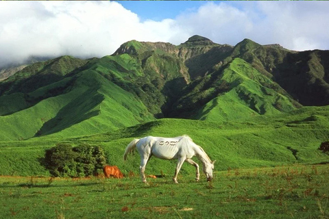 Fukuoka: Mt. Aso Volcano, Kusasenri & Grasslands Day Tour 7:40 Hakata Station Chikushi Exit Lawson Meetup
