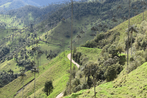 La Carbonera Adventure: Hiking & Horseback Riding in the Andean Palm Forest Salento: Tour to La Carbonera and the wax palm forest
