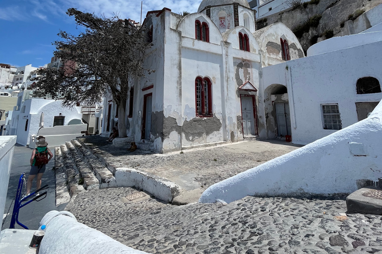 Desde La Canea: excursión de día completo a Santorini