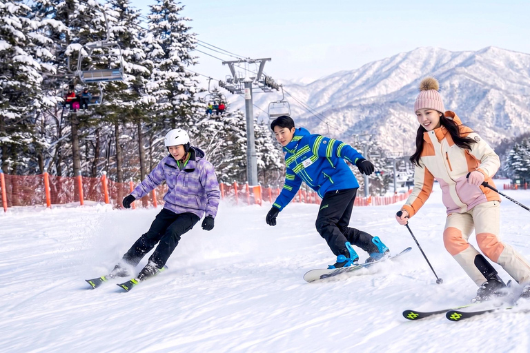 [Official] Busan: Eden Valley Resort Winter Ski Day Tour SHUTTLE Only - Meet at Haeundae Station