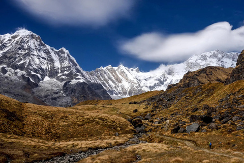 Katmandou : 8N8 jours de randonnée guidée au camp de base de l'AnnapurnaKatmandou : 8N8-Day Annapurna Base Camp Trek Service Package