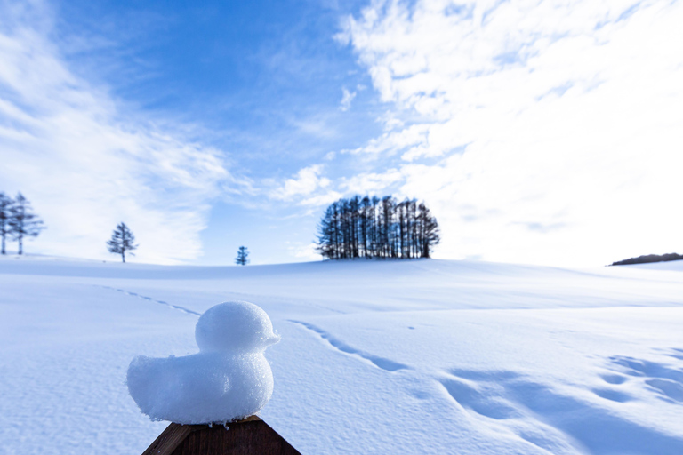 Sapporo: Hokkaido Biei Best 5 Photo Spots Day Tour Shared Tour, Meet at Odori Station