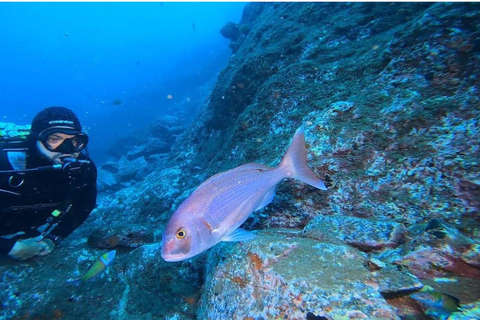 Madeira: Full-Day Dive Pack