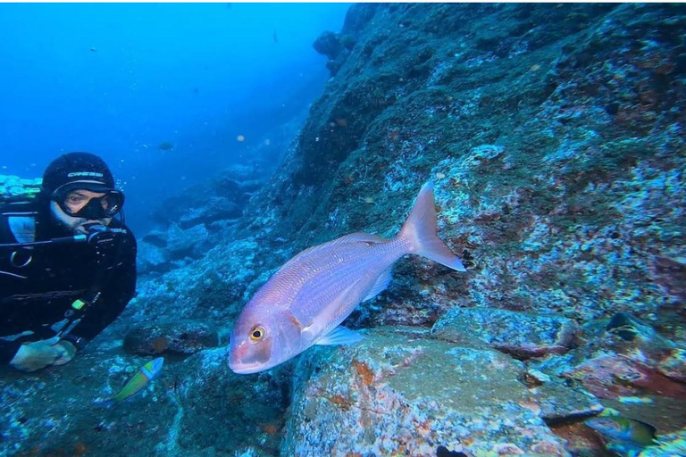 Madeira: Full-Day Dive Pack