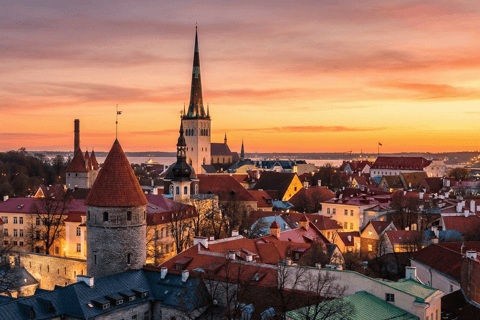 Tallinn Day Tour: Old Town Legends, Lunch & Modern Sights