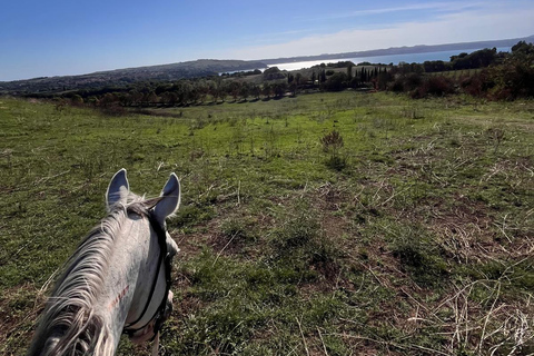 Rome: Lake Martignano Horseback Ride on a Private Estate Lake Martignano: Horseback Ride on a Private Estate