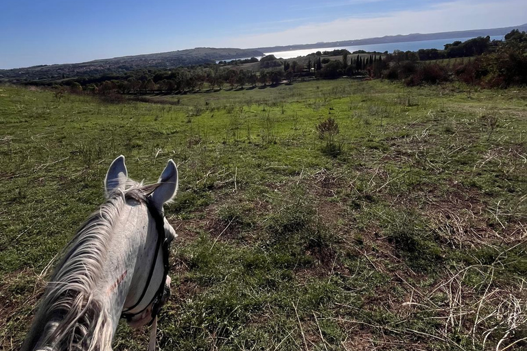 Rome: Lake Martignano Horseback Ride on a Private Estate Lake Martignano: Horseback Ride on a Private Estate