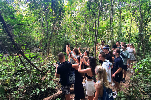 Från Krabi : Khao Sok Lake Tour i dagsutflykt