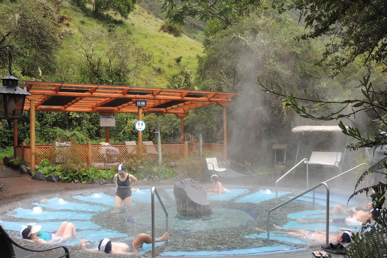 Quito: Papallacta Hot Springs and Hummingbirds' Farm Tour