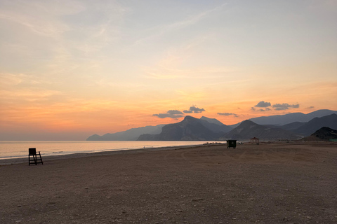 Salalah Local Life Tour: Camels, Coast & Natural Wonders