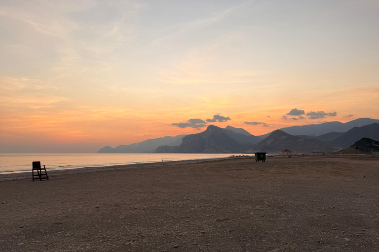 Salalah Local Life Tour: Camels, Coast & Natural Wonders