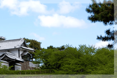 Kanazawa : Yachiya Shuzo Sake Brewery Tour and Tasting