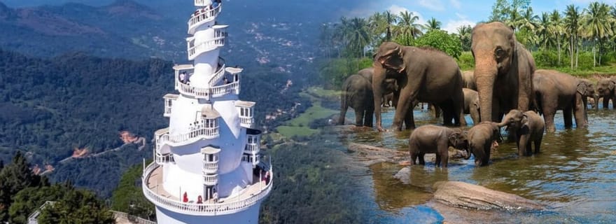 De Kandy à Pinnawala, visite privée d'une journée via Ambuluwawa