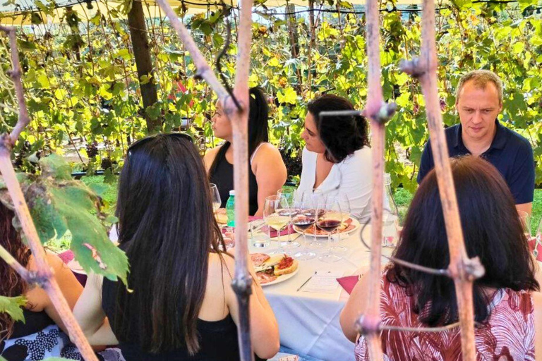 Private Tour from Florence: Wineries, Lunch & San Gimignano