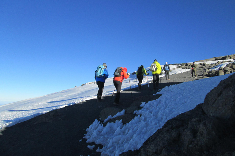 6-Day Umbwe Route Trek Mount Kilimanjaro