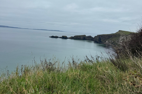 Belfast: Private Custom Tour with Driver and Guide