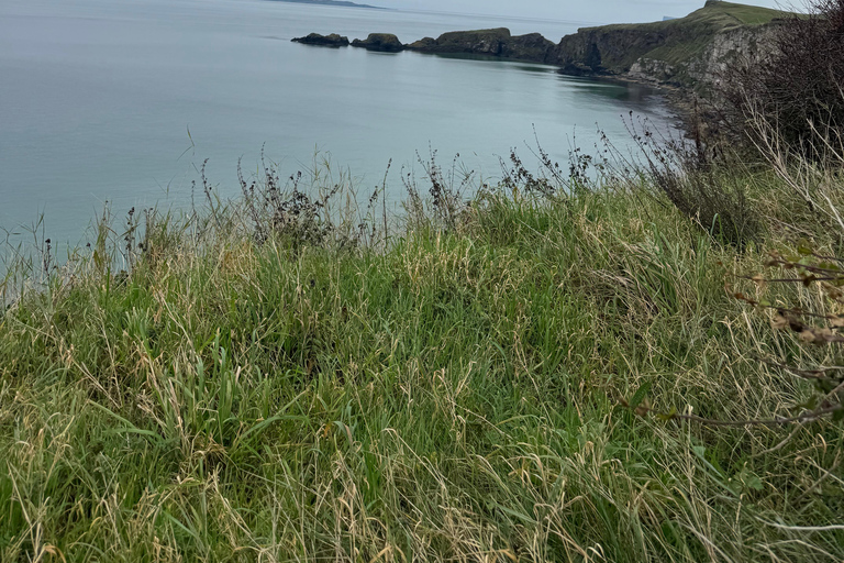 Belfast: Private Custom Tour with Driver and Guide