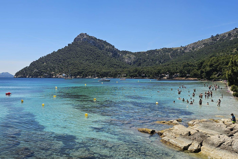 Mallorca: Scenic Formentor Tour by Bus & Boat Pick up in Playa de Muro