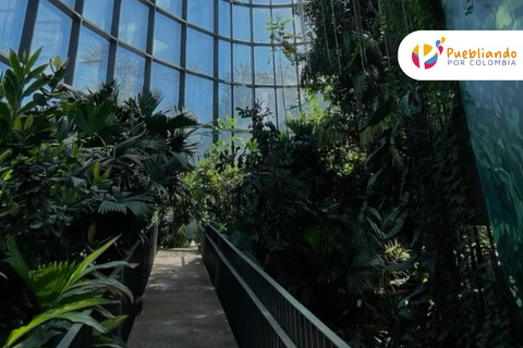 Explore the Magic of the Botanical Garden - Bogotá