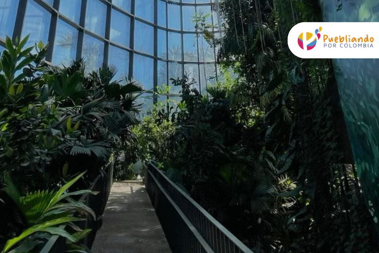 Explore the Magic of the Botanical Garden - Bogotá