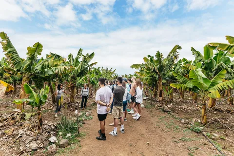 Eco-Bananenplantage Tour met Bananenlikeur