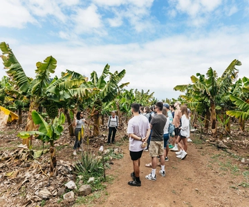 Eco Banana Plantation Tour with Banana Liquor